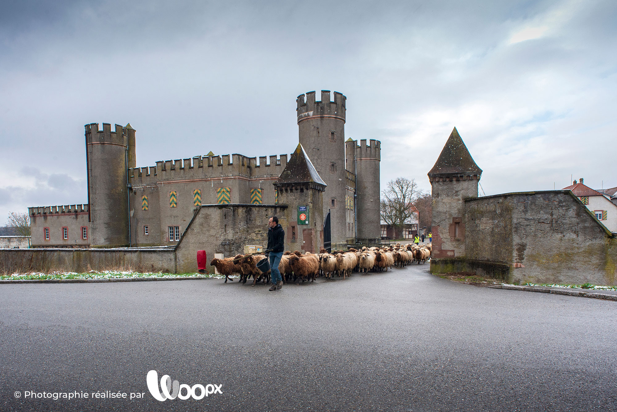 Photo transhumance Alternature