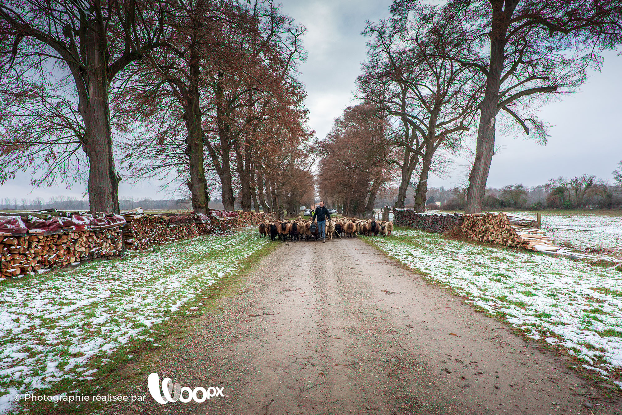 Photo transhumance Alternature