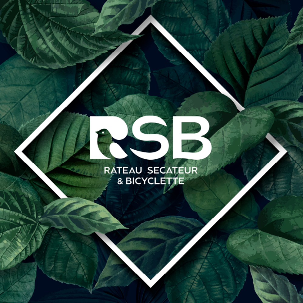 Logo RSB