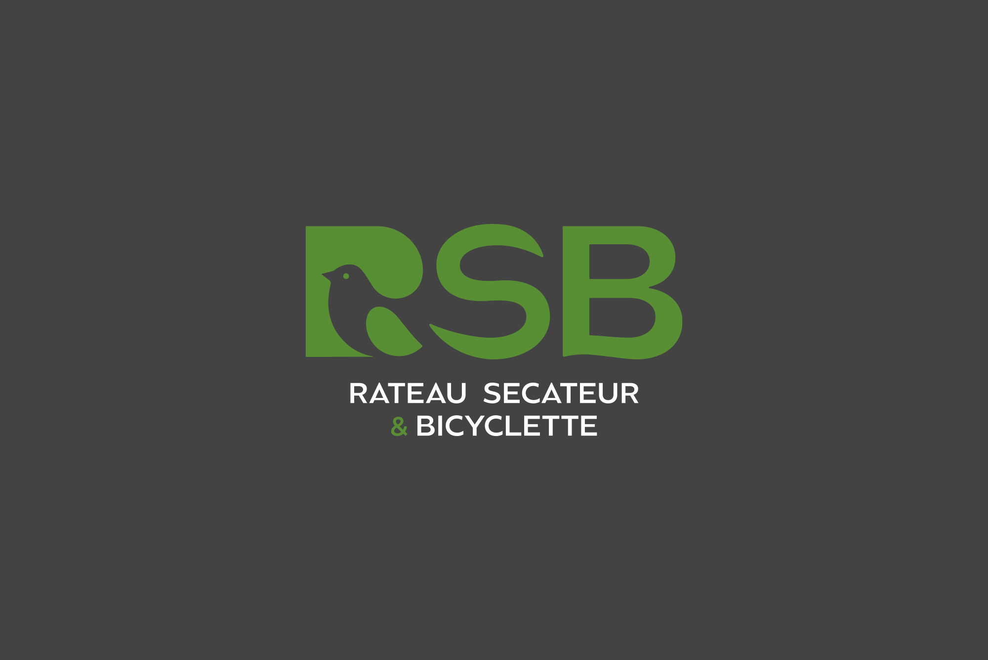 Logo RSB